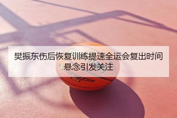 樊振东伤后恢复训练提速全运会复出时间悬念引发关注